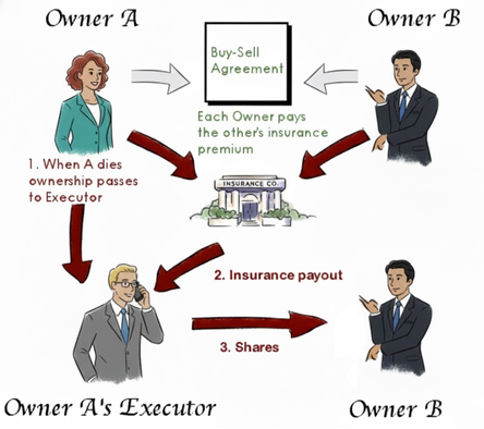 Drawing of a Cross-Purchase Life insurance agreement where Owner A & B get life insurance on each other so that they can pay out the estate for their shares in the company if either partner were to pass.